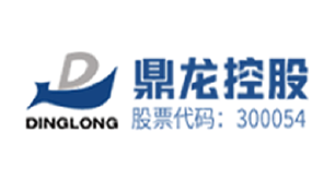 鼎龙控股