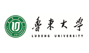 鲁东大学